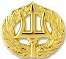 Badge And Pins Command Ashore