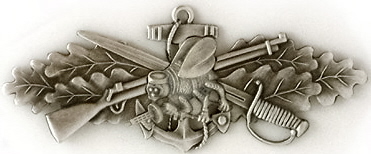 Badge And Pins Seabee